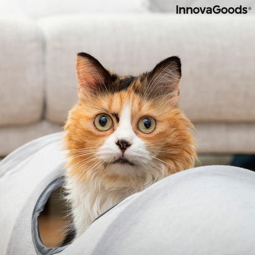 Collapsible Cat Play Tunnel — Foldable Indoor & Outdoor Cat Toy