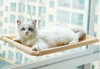 Purrlounge™ pet hammock
