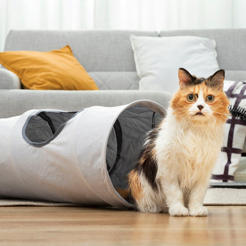 Collapsible Cat Play Tunnel — Foldable Indoor & Outdoor Cat Toy