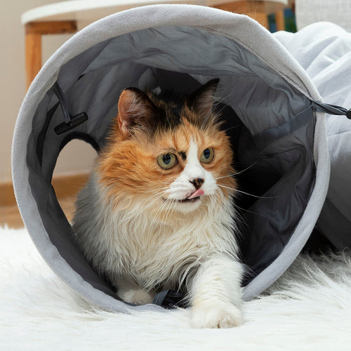 Collapsible Cat Play Tunnel — Foldable Indoor & Outdoor Cat Toy