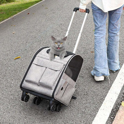 Rolling Cat Carrier with Telescopic Handle — Wheeled Travel Carrier for Cats